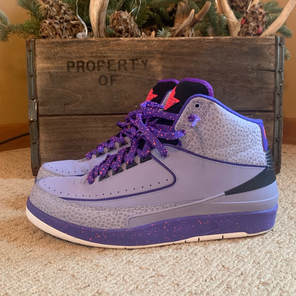 Air Jordan Retro 2 Iron Purple